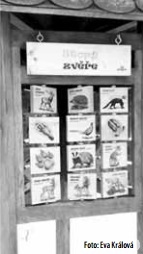 interaktivní tabule