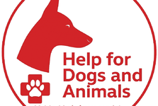 Zaběhlo se vám zvíře? Využijte vyhledávání ztracených zvířat v okolí Brna Zaběhlo se vám zvíře? Využijte vyhledávání ztracených zvířat v okolí Brna